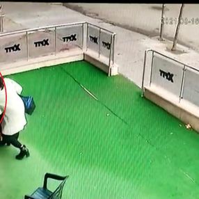 Ankara'da hamile kediye vuran kadına para cezası