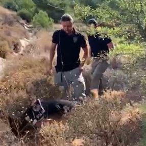 İzmir’de 15 yıl önce işlenen cinayet, sigara izmariti ile aydınlatıldı
