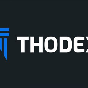 MASAK, THODEX'in tüm hesaplarına bloke koydu