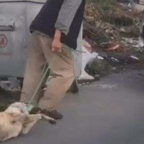 Sarıyer'de köpeğini silahla vurarak öldürdüğü iddia edilen kişi gözaltına alındı