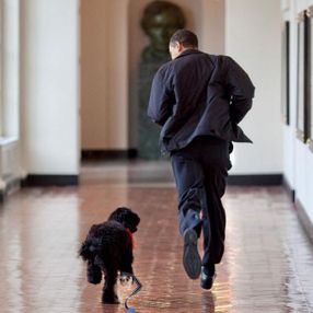 Barack Obama, 12 yıllık köpeğini kaybetti