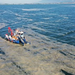 Müsilaj nedeniyle zarar gören balıkçılara ekonomik destek