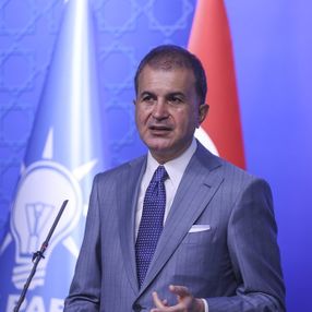 Ömer Çelik: Hayvan hakları yasası Meclis'ten geçecek