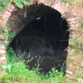 410 yıllık Armaş Manastırı viraneye döndü