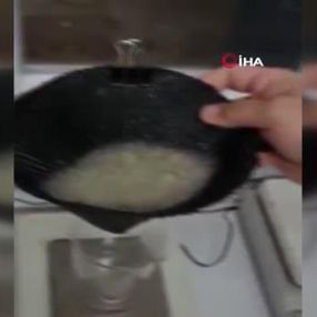 Deniz salyasının laboratuvar ortamında yakından incelenmesi