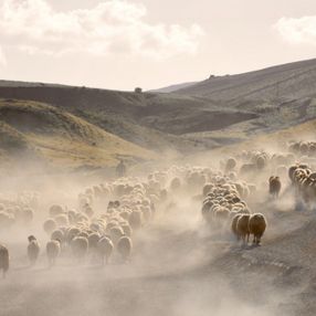 Nemrut Dağı eteklerine tozlu yolculuk başladı
