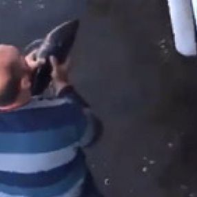 Sakarya'da gölde bulduğu yavru yunus balığını 200 metre koşarak denize bıraktı