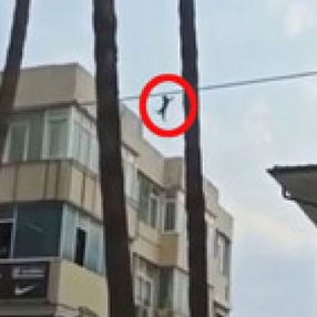 Antalya'da ağaçta mahsur kalan yavru kedi, düşerken açılan bezle kurtarıldı