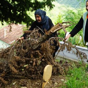 Kastamonu’da ceset yiyen ayı, korkutuyor