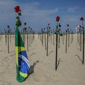 Copacabana Plajı’na koronavirüsten ölenlerin anısına 500 gül dikildi