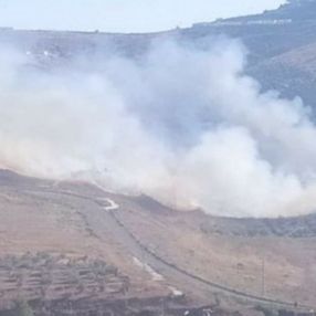 Yahudi yerleşimciler, Batı Şeria’da Filistinlilerin tarım arazisini yaktı