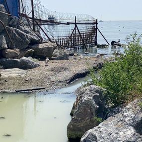 Kadıköy'de atıklarla pislenen derenin suyu denize karışıyor