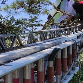 Fethiye'de yamaç paraşütçüleri ağaçta asılı kaldı