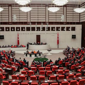 Hayvanları Koruma Kanunu TBMM'de kabul edildi