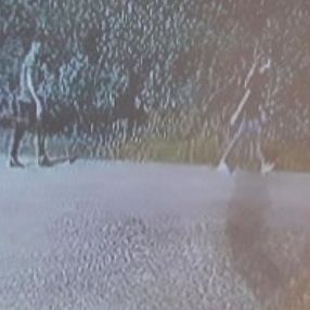 Kocaeli'de genç kıza cinsel istismara kalkışıp, başına taşla vurdu