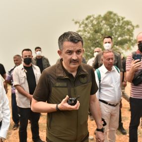 Mersin'deki orman yangınıyla ilgili 4 şüpheli gözaltına alındı