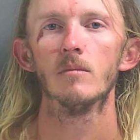 Florida'da bir adam timsahı barın çatısına atmaya çalıştı