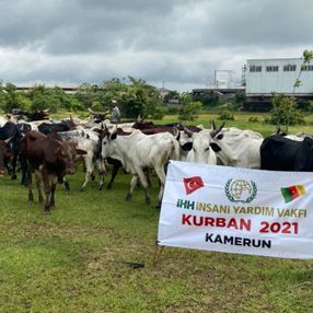 İHH’nın Kamerun’da Kurban Bayramı çalışmaları