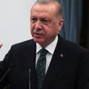 Cumhurbaşkanı Erdoğan'dan Manavgat'taki yangınla ilgili açıklama