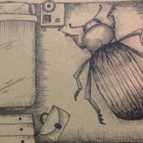 İnsanın böceğe dönüşmesi bağlamında gerçeküstücülük ve Franz Kafka