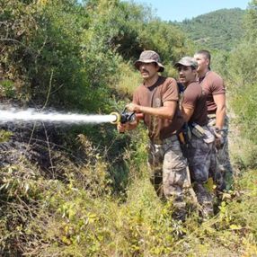 Kocaeli'de özel harekat polisi, kaplumbağayı yanmaktan kurtardı