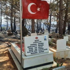 Mersin'deki yangında zarar gören mezarlıkta şehit kabri ve Türk bayrağı yanmadı