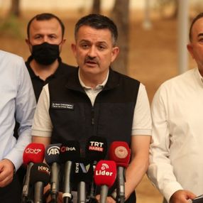 31 ilde çıkan 101 yangının 91'i kontrol altına alındı