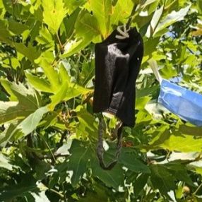 İzmir'de, vatandaşların çaput bağladığı dilek ağacına maske asılmaya başlandı