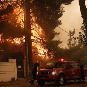 40’tan fazla ülkede ormanlar alev alev