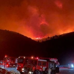 Bodrum'da orman yangını