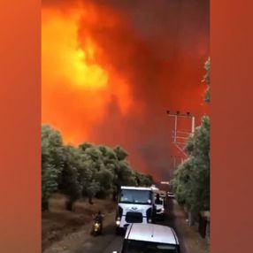 Bodrum Çökertme Koyu'nda yangın şiddetini artırarak devam ediyor
