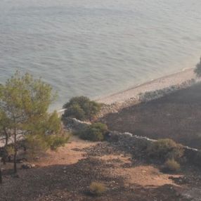 Bodrum Çökertme koyunun son hali yürek burktu