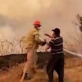 Adana'da bir itfaiye eri, su içmeyi reddedip yangına müdahaleye devam etti