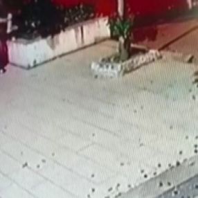 Üsküdar'da bir şahsın sokak kedisini yerden yere vurduğu anlar kamerada