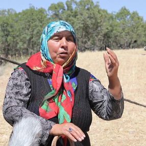 Pervin Çoban Savran orman yangınlarının sebebini anlattı