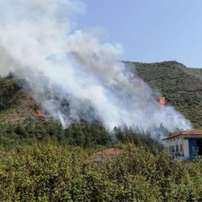 Karabük'te orman yangını çıktı