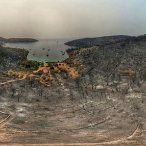 Orman yangınlarının çıktığı Bodrum ve Milas'ın son hali