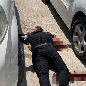 Mardin'de canlı bomba etkisiz hale getirildi