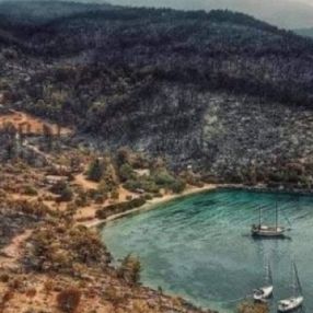 Yangın sonrası Bodrum Çökertme Koyu