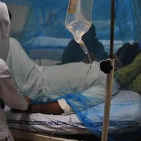 Nijerya'da 'yanlışlıkla gübre atılan' yemekten yiyen 24 kişi öldü