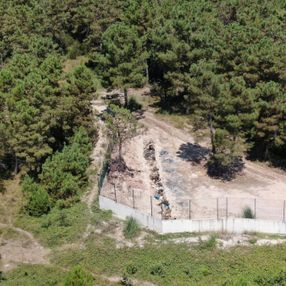 İBB'nin hayvan barınağındaki vahşet görüntülendi