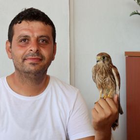 Adıyaman'da atmaca yavrusu ile lokantacının dostluğu