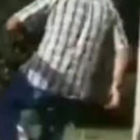 Bolu'da kediyi tekmeleyen kişi, ardından kulübesini parçaladı