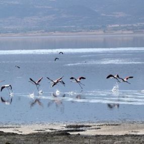 Burdur Gölü'ndeki kuraklığa karşı güneş panelleri kullanılacak