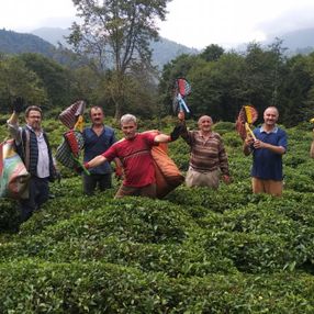 Rize'de hasta komşularının yaş çaylarını topladılar