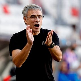 Antalyaspor, Ersun Yanal ile yollarını ayırdı