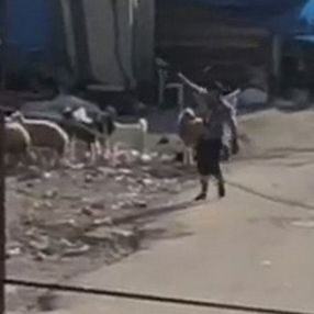 Adana’da iki grup arasında silahlı çatışma anları