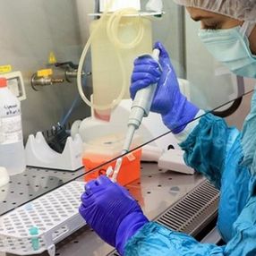 Koronavirüse karşı yerli ilaç çalışmasında olumlu sonuçlar