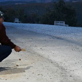 Manisa'da işletmesine gelen tilkileri elleriyle besliyor