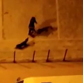Esenyurt'ta köpeği döven Ürdünlüye ceza